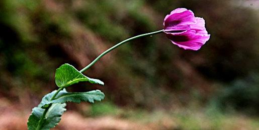 《死亡空间：重制版》小细节 劳累程度改变说话方式